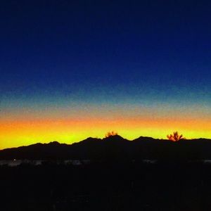 Meet your Posher, Will